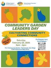 Colorful Save-the-Date flier