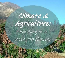 Orchard with mountains and words Climate and Agriculture