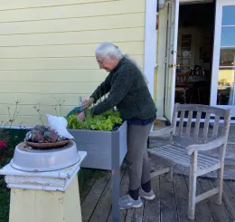 Woman working in a raised bed garden
