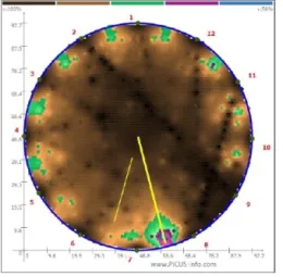 Sonic tomography scan of an ash tree
