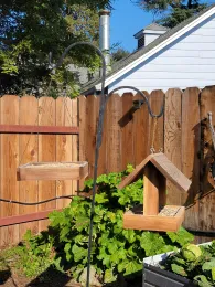Hanging bird feeders