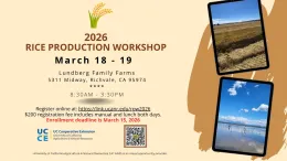 2026 Rice Production Workshop QTV Slide (jpg)