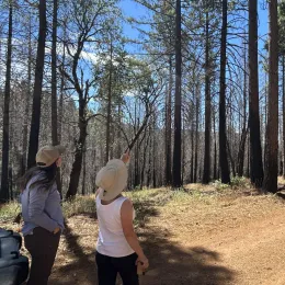 Two people stand in a post fire landscape and look at burned trees.