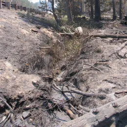 Hillslope erosion after a wildfire.