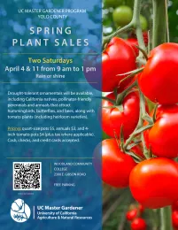Flyer for the 2026 Spring Master Gardeners of Yolo County Plant Sale.