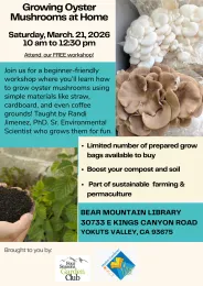 Growing  Oyster Mushrooms at home