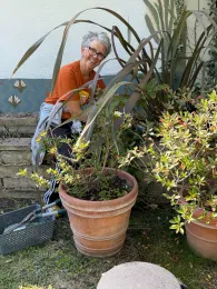 Master gardener working in the Lyon garden