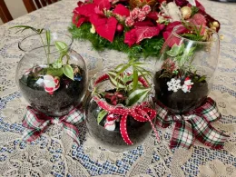 Christmas themed terrariums with little Santa figurines and succulents within