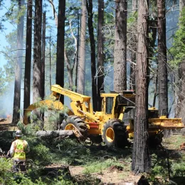 Masticator cleans up salvage trees in a post-fire forest.