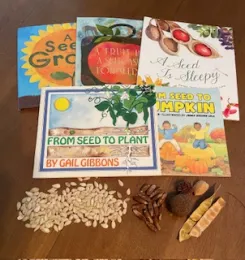 Magic of seeds class books and craft
