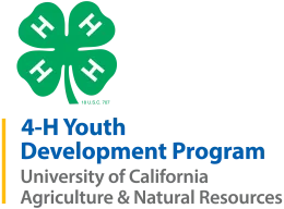 4-H Youth Development Program Logo