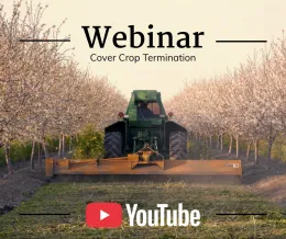 Cover Crop Termination pic (jpg)