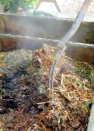 Turning the compost pile, courtesy of Master Gardeners of Sacramento County