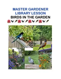 Birds in the Garden library activity for May