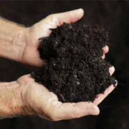 Healthy garden soil