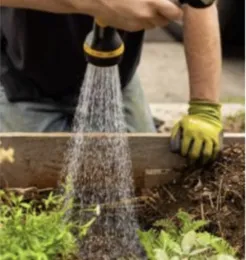 Watering new plants in raised bed