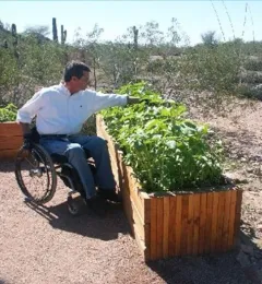 A person blue jeans, a white shirt, and in a wheelchair reaches out to touch plants in a raised wooden garden bed in a desert landscape. The path is DG and the bed is waist height.