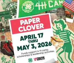 A flyer advise4-H flyer cover with collage of youth, camp, and outdoor activity images.