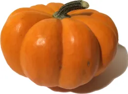 Orange pumpkin