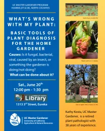 Gold background flyer for a Master gardener presentation on Saturday, June 20, 2026, 12:00 - 1:30 pm at the Humboldt County Library 1313 3rd Street Eureka, CA