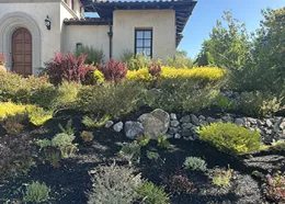 Hillside Garden with house on top photo Lorraine Frey