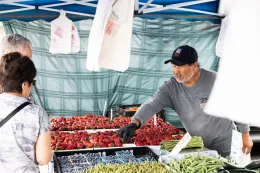Person selling produce at a market