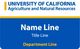 Name Tag example image