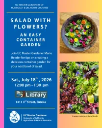 Flyer for July 18 presentation by Marie Reeder, Master Gardener. Images of a mixed green salad with edible flowers in a wooden bowl and a tray og greens and flowers for planting in a container.