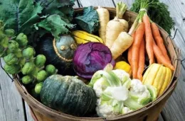A basket filled with a colorful assortment of fresh vegetables, including carrots, parsnips, kale, Brussels sprouts, squash, cabbage, cauliflower, and other leafy greens. The vegetables are arranged in a rustic wooden basket, highlighting their variety and freshness.