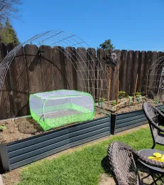 Row coveron a garden bed