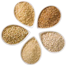Five small dishes of whole grains.