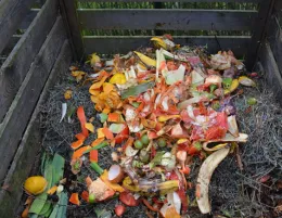 compost pile with food scraps and organic material