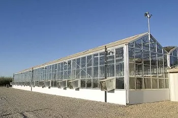 greenhouse