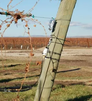 Automated irrigation monitoring device