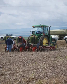 No-till transplanting the 2011 tomato crop at the University of California West Side Research and Extension Center.