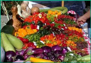 100719USDASmallFarmDigest