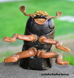 Close-up of the walnut twig beetle, a ceramic mosaic figure. (Photo by Kathy Keatley Garvey)