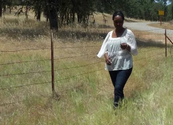 Fadzayi Mashiri walks through a patch of medusahead in Mariposa County.
