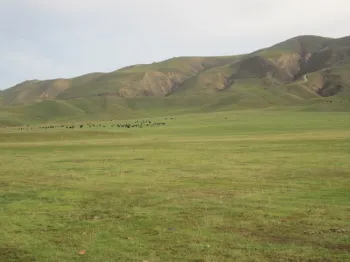 Beautiful San Benito County!