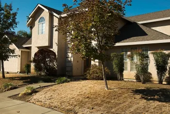 Figure 1. Turf where water was turned off