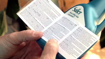 Click picture to download video.