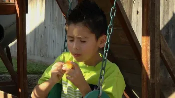 Click picture to download video.