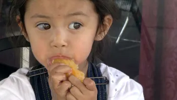 Click picture to download video.