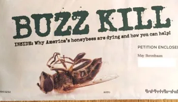 This is the mail that May Berenbaum receiving asking her to help the honey bees. This is a photo of a fly.