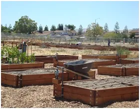 Raised bed planters