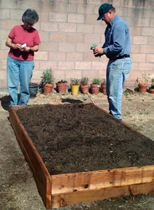 Two people tending to a new wooden raised garden bed filled with soil; one examines seed packets while the other holds a young plant