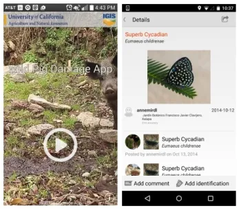 Wild pig & iNaturalist apps