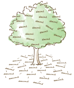 Almonds in the tree, Amonds on the ground. Illustration by Will Suckow