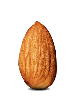 Click to see more translations