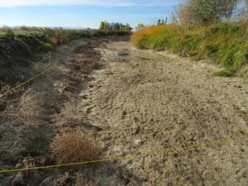 Water management - manipulating water levels can be used to control some species, or allow new options for other control techniques.